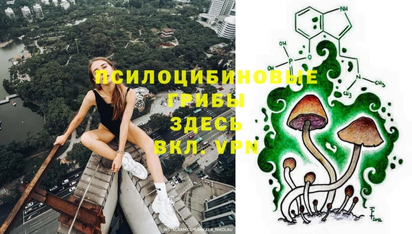 прущая мука Богородицк