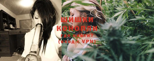 шишки Бугульма