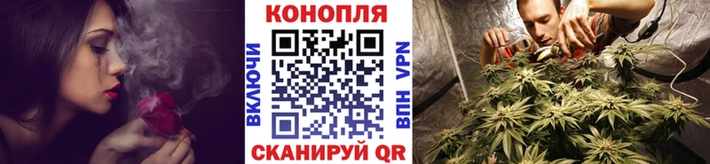 как найти закладки  Гуково  Бошки марихуана гибрид 